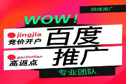 百度推广代理商服务优势案例分析